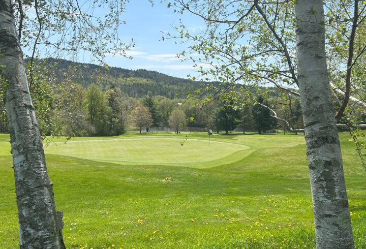 Amendola, Williston Team Win on Home Turf